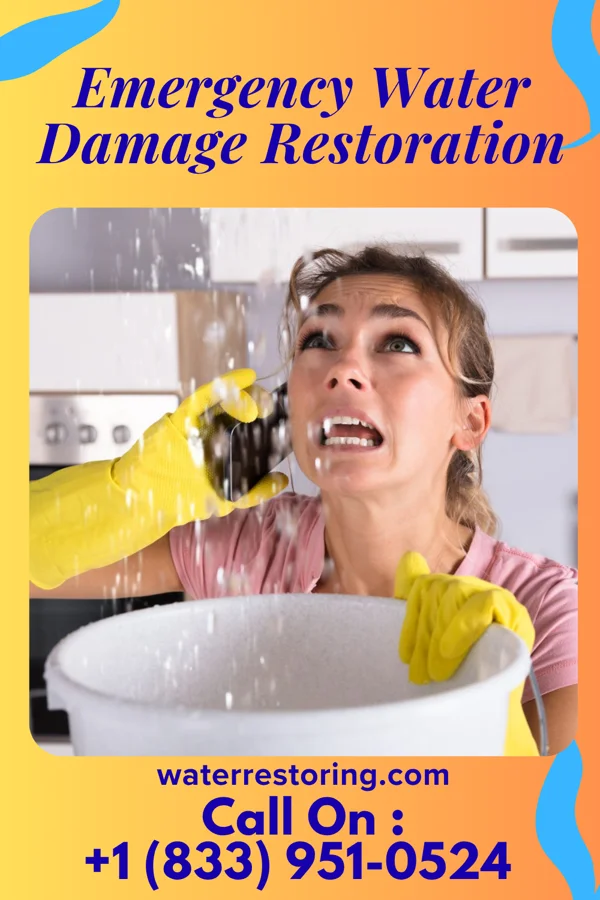 Emergency Water Damage Restoration in Vincent, IA